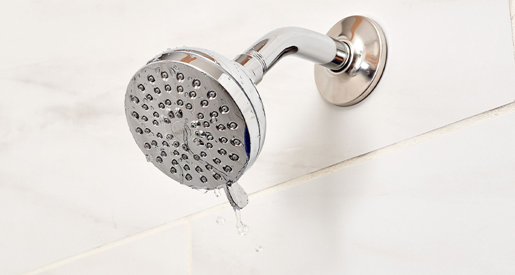 What Should You Know About A Leaking Shower?