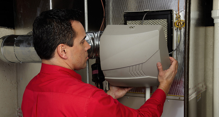The Importance Of Hiring Humidifier Maintenance Services In Winter