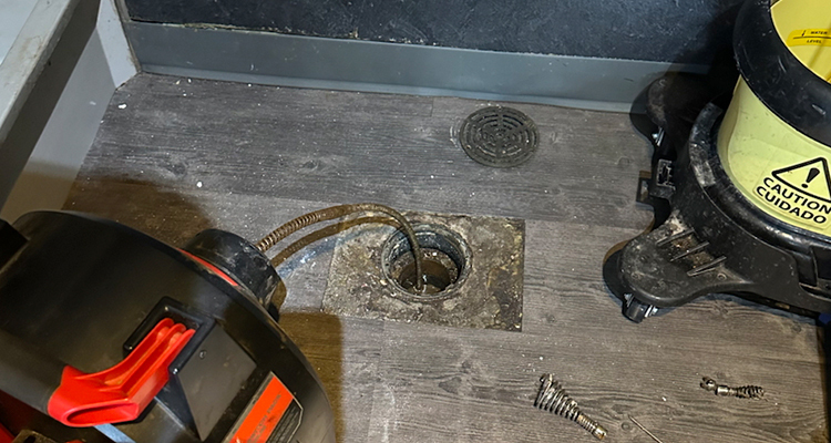 Why Does My Sewer Line Smell Worse In Late Summer?