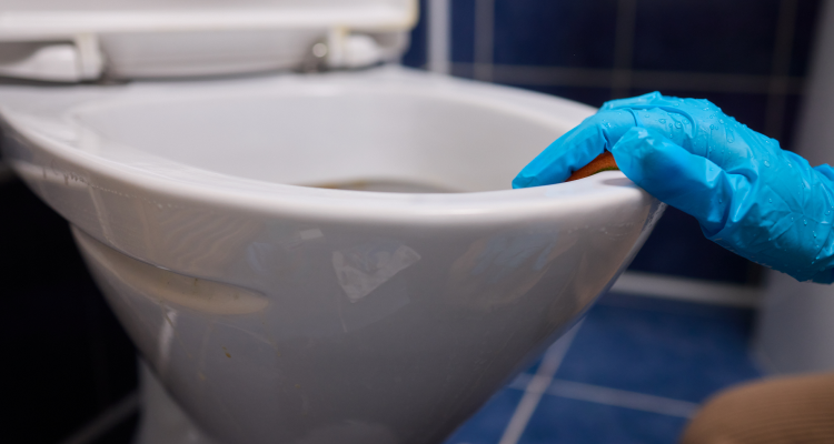 Leak-Free Toilet Installation in Calgary